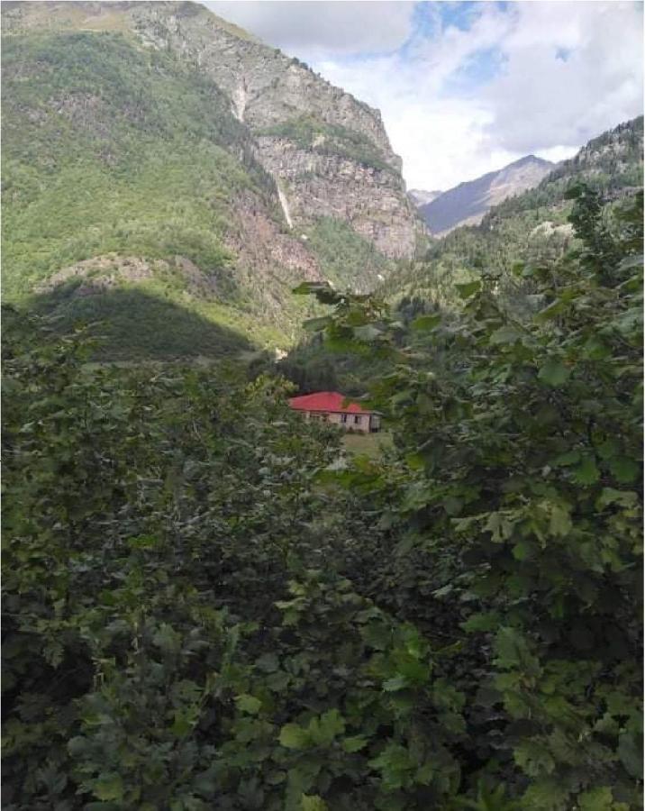 Guest House Malkhaz Niguriani Zhabeshi Esterno foto