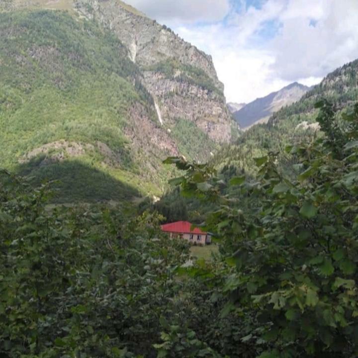 Guest House Malkhaz Niguriani Zhabeshi Esterno foto
